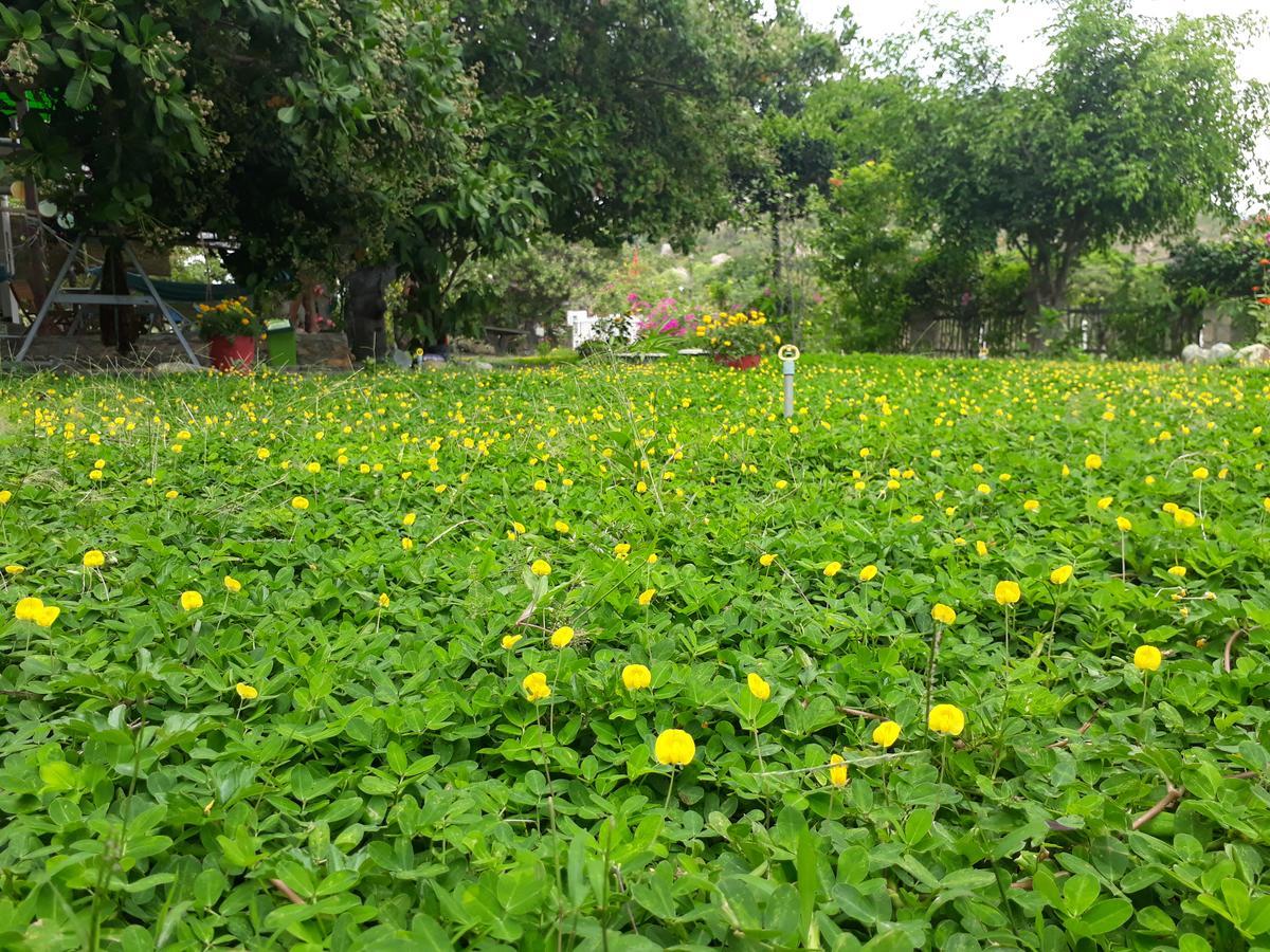 Dao Hoa Vang Villa カムラン エクステリア 写真