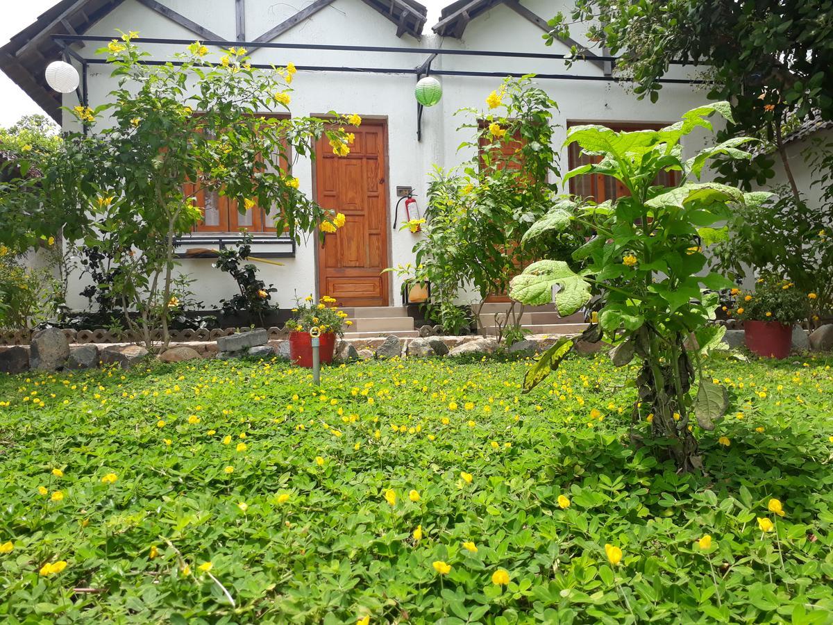 Dao Hoa Vang Villa カムラン エクステリア 写真