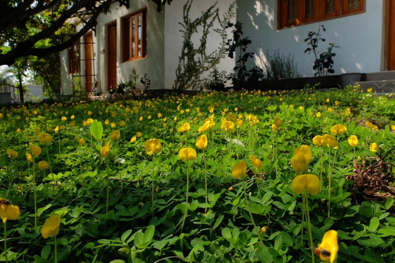 Dao Hoa Vang Villa カムラン エクステリア 写真