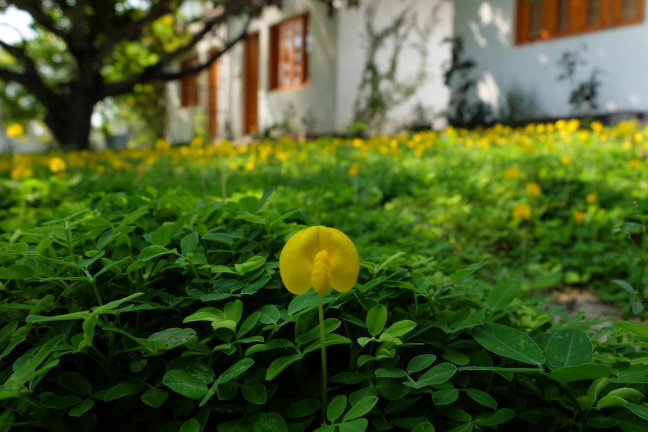 Dao Hoa Vang Villa カムラン エクステリア 写真