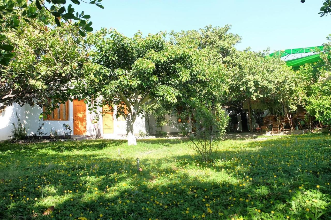 Dao Hoa Vang Villa カムラン エクステリア 写真